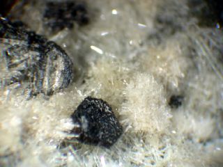 Fluorapatite- Sacrofano -  Italy