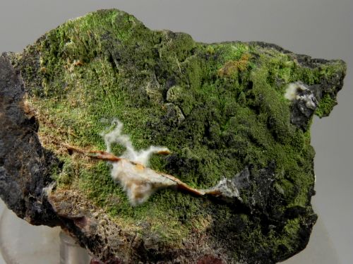 Conichalcite - Cassagna mine Val Graveglia Italy
