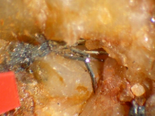 Meneghinite Bottino Mine, Stazzema, Lucca Province