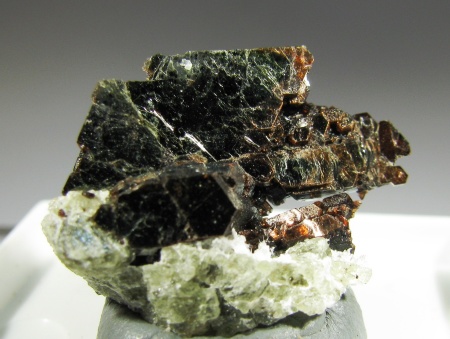 Tetra-ferriphlogopite  - Kovdor Mine, Kovdor Massif, Kola Peninsula, Murmanskaja Oblast', Northern Region, Russia