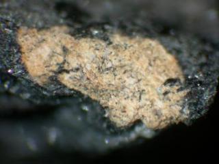 Vitusite (CE)  - Ilimaussaq complex, Narsaq, Kitaa (West Greenland) Province, Greenland