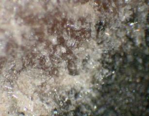 Tinaksite  - Murunskyi Massif, Chara River, Torgo River Basin, Aldan Shield, Saha Republic, Eastern-Siberian Region, Russia