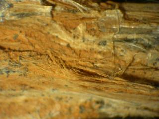 Carlosturanite  - Auriol Mine, Sempeyre, Varaita Valley, Cuneo Province, Piedmont, Italy