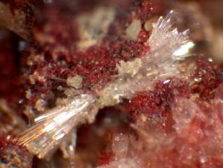 Klebelsbergite   -  Pereta Mine, Grosseto, Tuscany,  Italy
