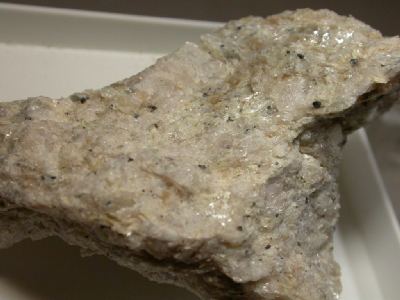 Ellenbergerite   -  Martignana Po, Cuneo, Piedmont, Italy