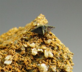 Anatase   -  Spluga Valley, Sondrio Province, Lombardy, Italy