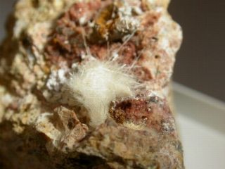 Dawsonite   -  Terlano (BZ),  Italy