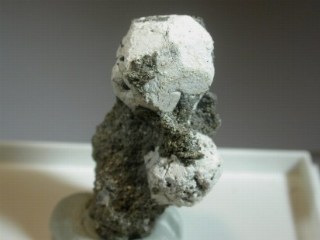 Leucite   -  Bolsena Lake, Latium, Italy