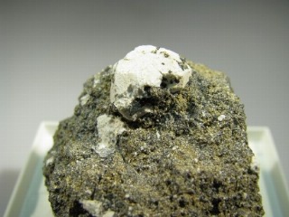 Leucite   -  Bolsena Lake, Latium, Italy