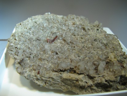 Brookite   -  Mt. Bregaceto, Borzonasca, Genova Province, Liguria, Italy