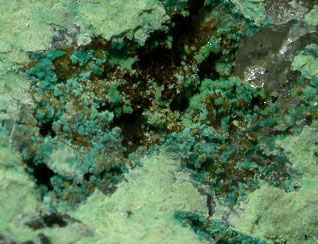Carbonatocyanotrichite - Cervandone, Devero Alps, Formazza Valley,  Italy