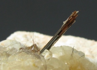Rutile   -  Crestola Bassa quarry, Carrara, Apuan Alps, Tuscany, Italy