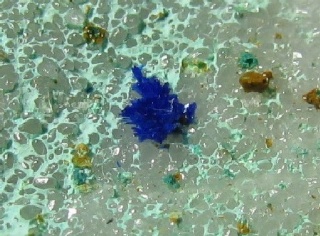 Azurite  -  Gioia quarries, Casette, Massa, Apuan Alps, Massa-Carrara Province, Tuscany, Italy