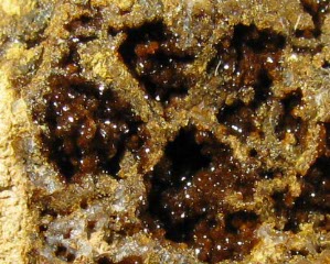 Jarosite - Capo Calamita, Elba Island, Tuscany, Italy