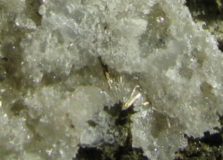 Millerite, Anatase -  Ca' dei Ladri, Gaggio Montano, Bologna, Italy