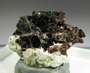 Tetra-ferriphlogopite  - Kovdor Mine, Kovdor Massif, Kola Peninsula, Murmanskaja Oblast', Northern Region, Russia