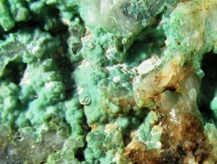 Variscite  -  Pansberg Quarry, Horscha, Niesky, Oberlausitz, Saxony, Germany