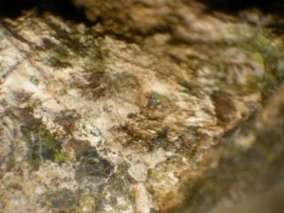 Vanadiocarpholite  -  Molinello Mine, Graveglia Valley, Ne, Genova Province, Liguria, Italy