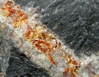 Saneroite Molinello Mine Val Graveglia Valley GE
