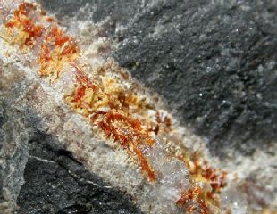 Saneroite Molinello Mine Val Graveglia Valley GE